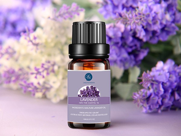 10ml premium therapeutic lavender essential oil purple