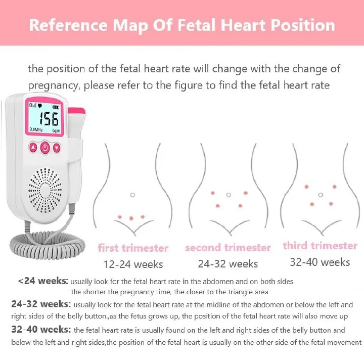 reference map of fetal heart position