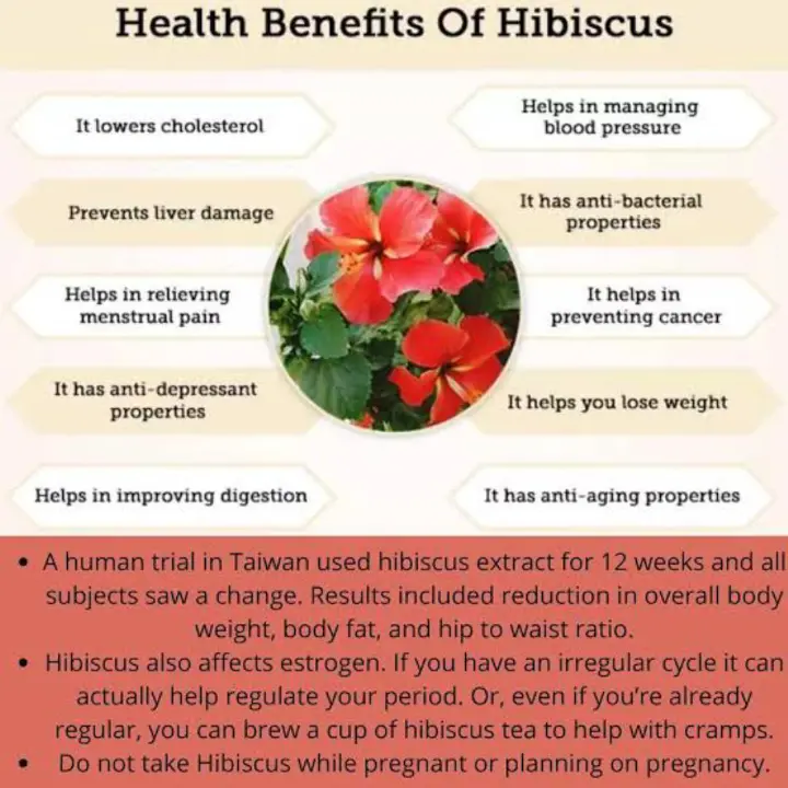 Organic Hibiscus Whole Dried Flowers 100% Natural Herbal Tea Rich in Vitamin C