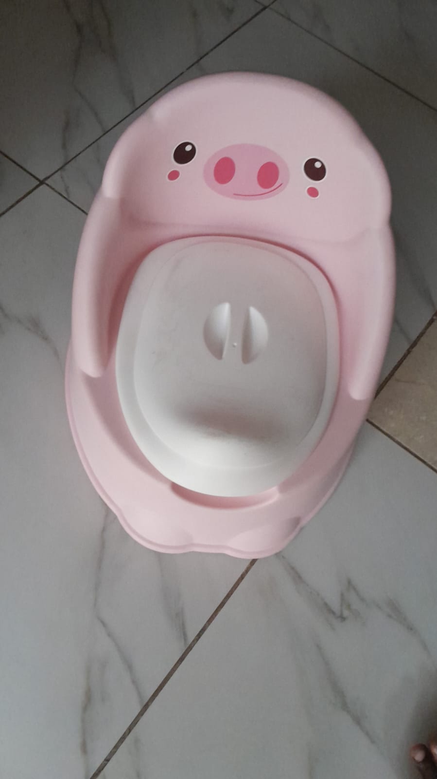 Baby potty training toilet seat