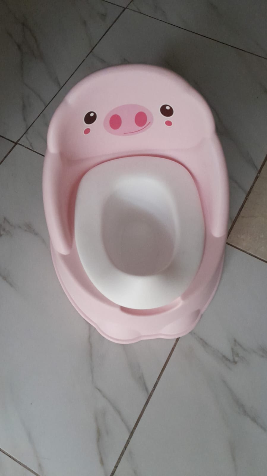 Baby potty training toilet seat