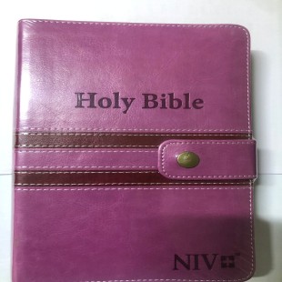 NIV STD PRESS BUTTON WITH INDEX