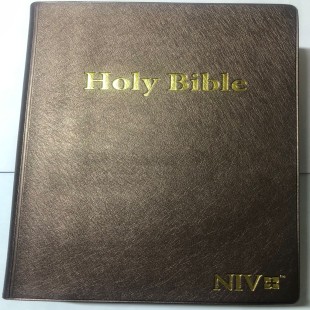 NIV Giant print Bible