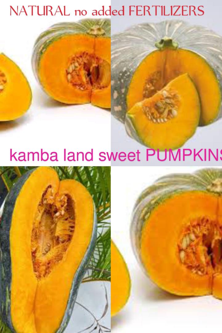 PUMPKIN From KAMBA LAND. 💯%Natural .No Added FERTILIZERS