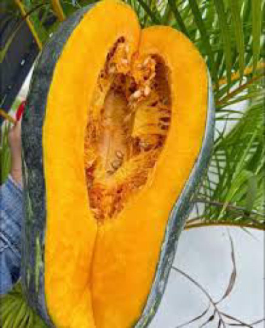 PUMPKIN From KAMBA LAND. 💯%Natural .No Added FERTILIZERS