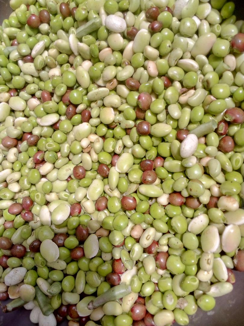 Mixed Fresh Pigeon Peas,Cow Peas and some Beans + additional 1-5 bottle guard as a tip🤍 from kamba land kitui mwingi 💯%Natural NO ADDED FERTILIZERS