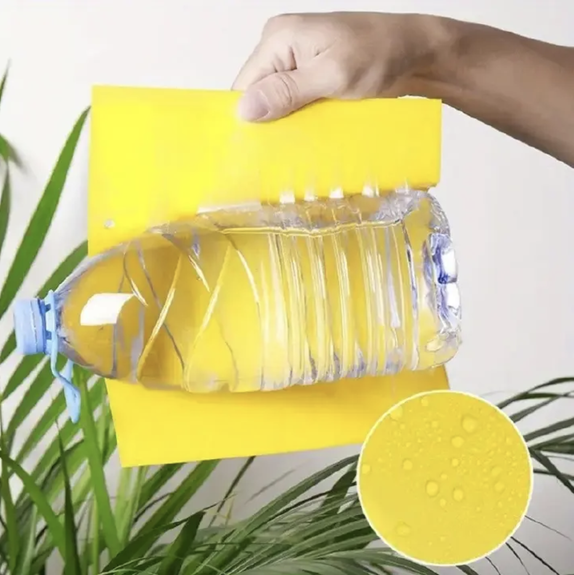 20pcs Strong Fruit Fly Traps Bugs Yellow Sticky Board Pest Control Insect Killer Two-sided Glue Paper Trap For Kill Pests Yellow 10cm*15cm(20pcs)