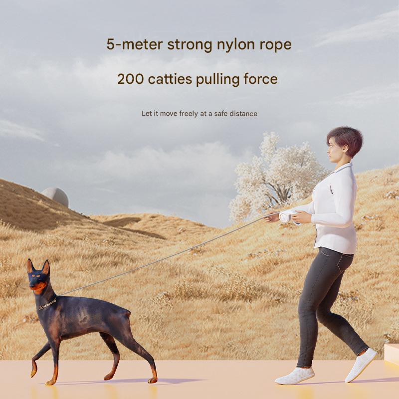 Dog leash, automatic retractable, anti-breakage, suitable for small and medium-sized dogs, including Teddy, Corgi, and cats.