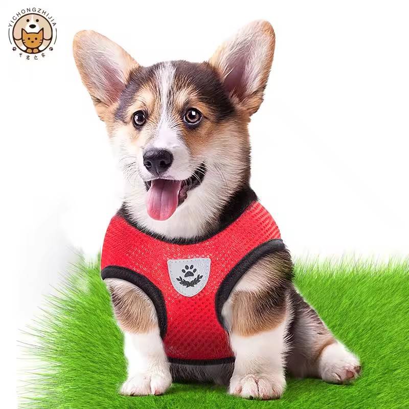 1PC Summer small dog pet chest and back breathable dog chest and back suit cat outdoor traction rope child collar