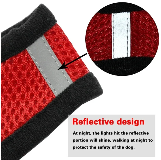 1PC Summer small dog pet chest and back breathable dog chest and back suit cat outdoor traction rope child collar