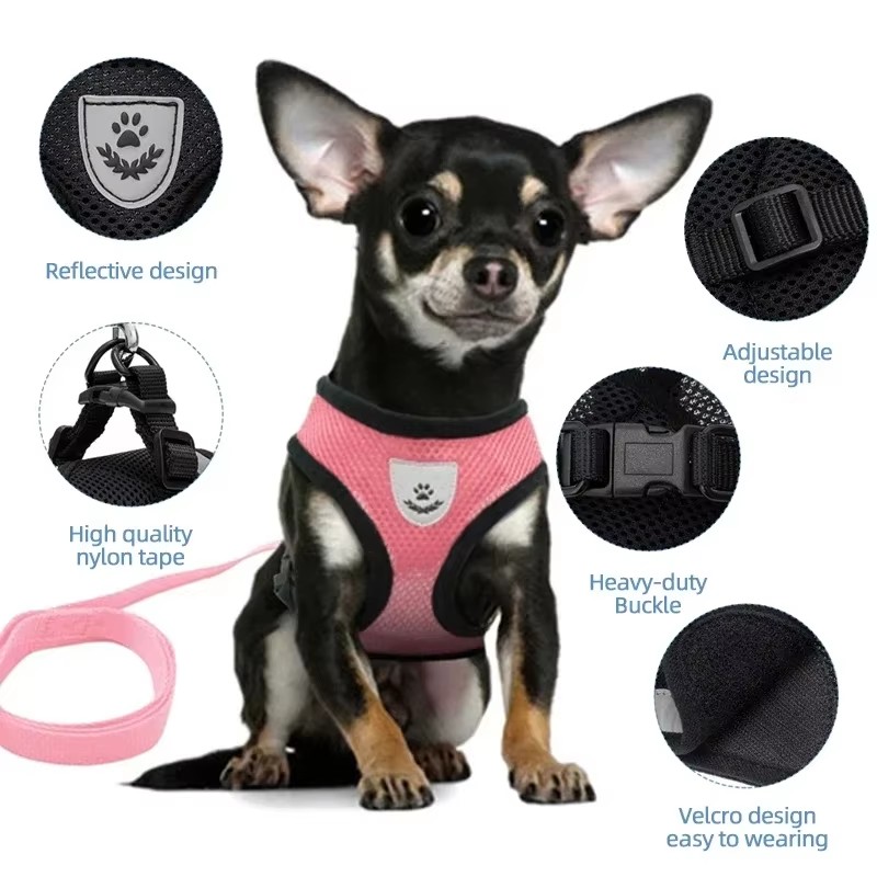 1PC Summer small dog pet chest and back breathable dog chest and back suit cat outdoor traction rope child collar