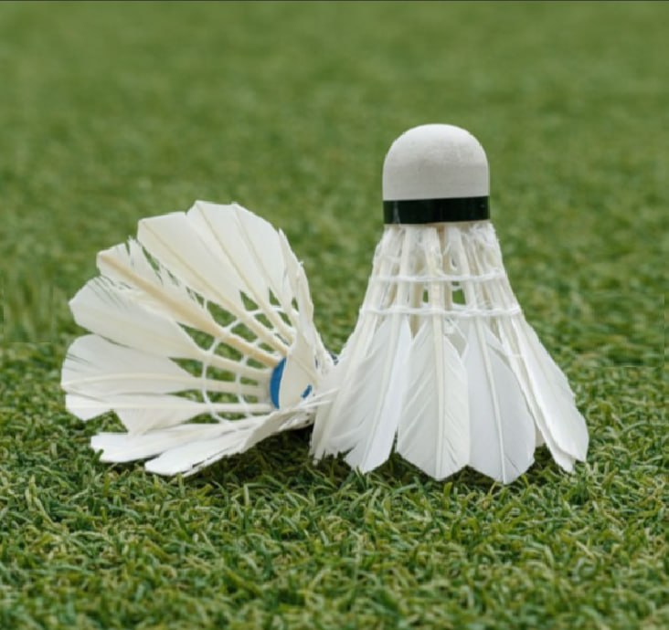 Badminton racket with two shuttles Perfectly suitable for beginner playing in the attacking style