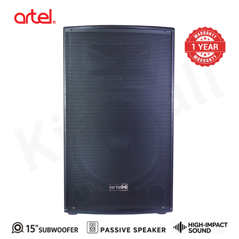 Artel AZ300 15" Passive Power Bass Speaker, High-Impact Outdoor Subwoofer Speaker System for Events Stage Performance, Bluetooth, FM Radio Woofer