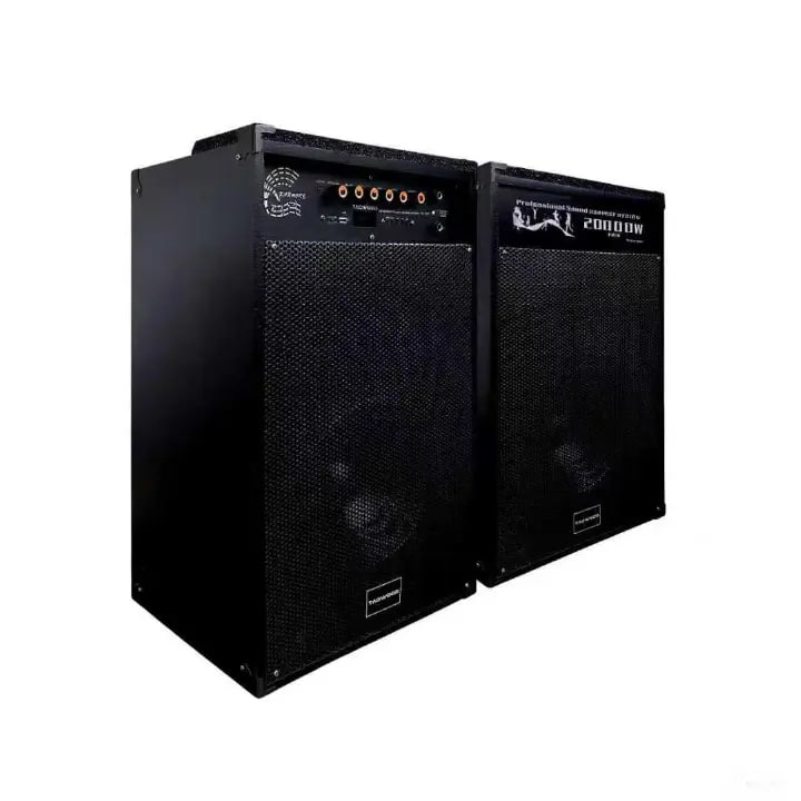 Tagwood LTS-10D Outdoor Speaker with Bluetooth, FM Radio, two free wireless Microphone