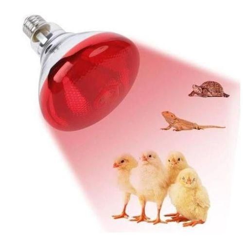 DISCOUNTED DEALS!!!Red Infrared chicken bulb, Heat Lamp for Chickens Coop Brooder and Reptile Heat Bulb 220 Volts Infrared Red Light