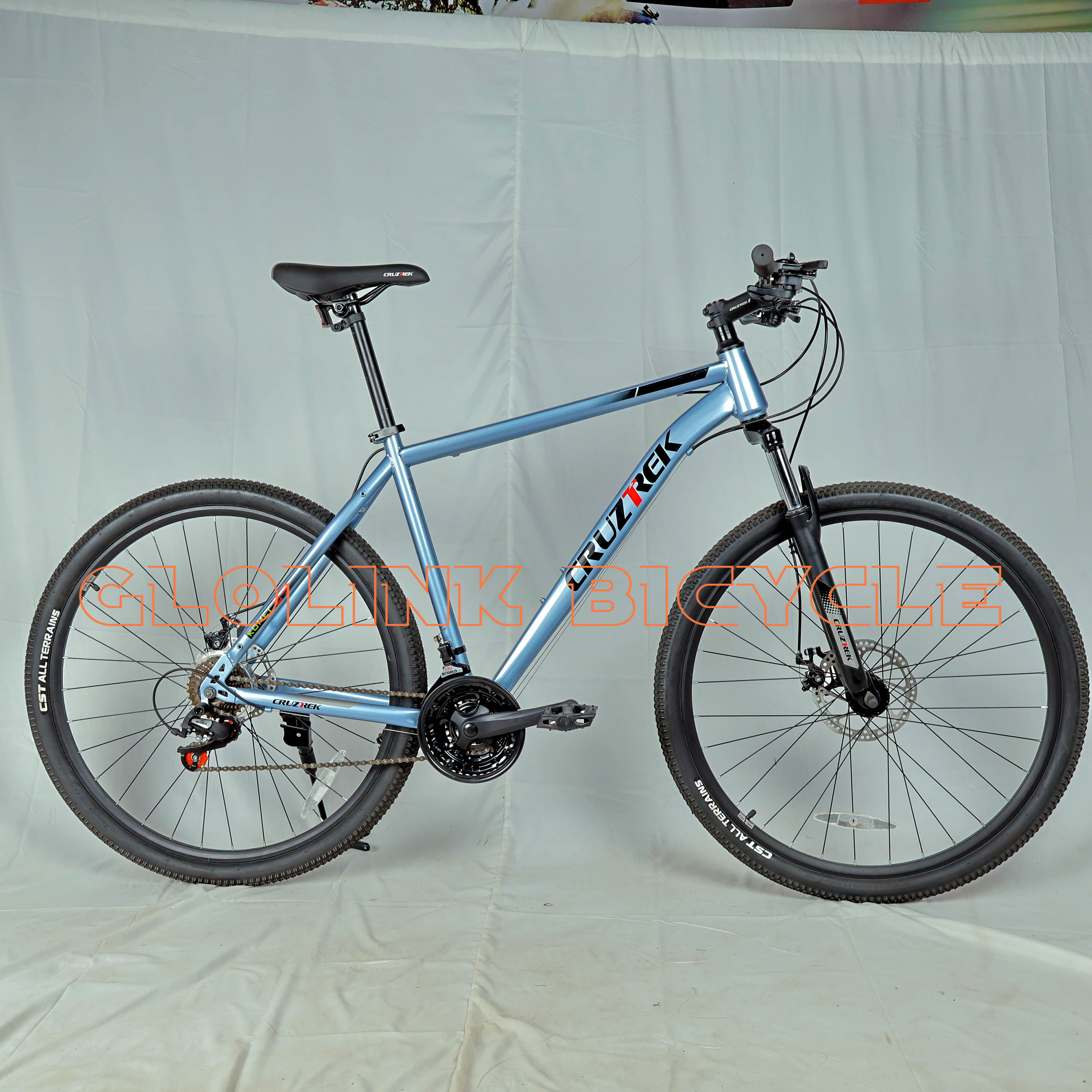 CruzTrek komet Mountain Bike Size 29 Hi-ten Steel Frame bicycle mtb