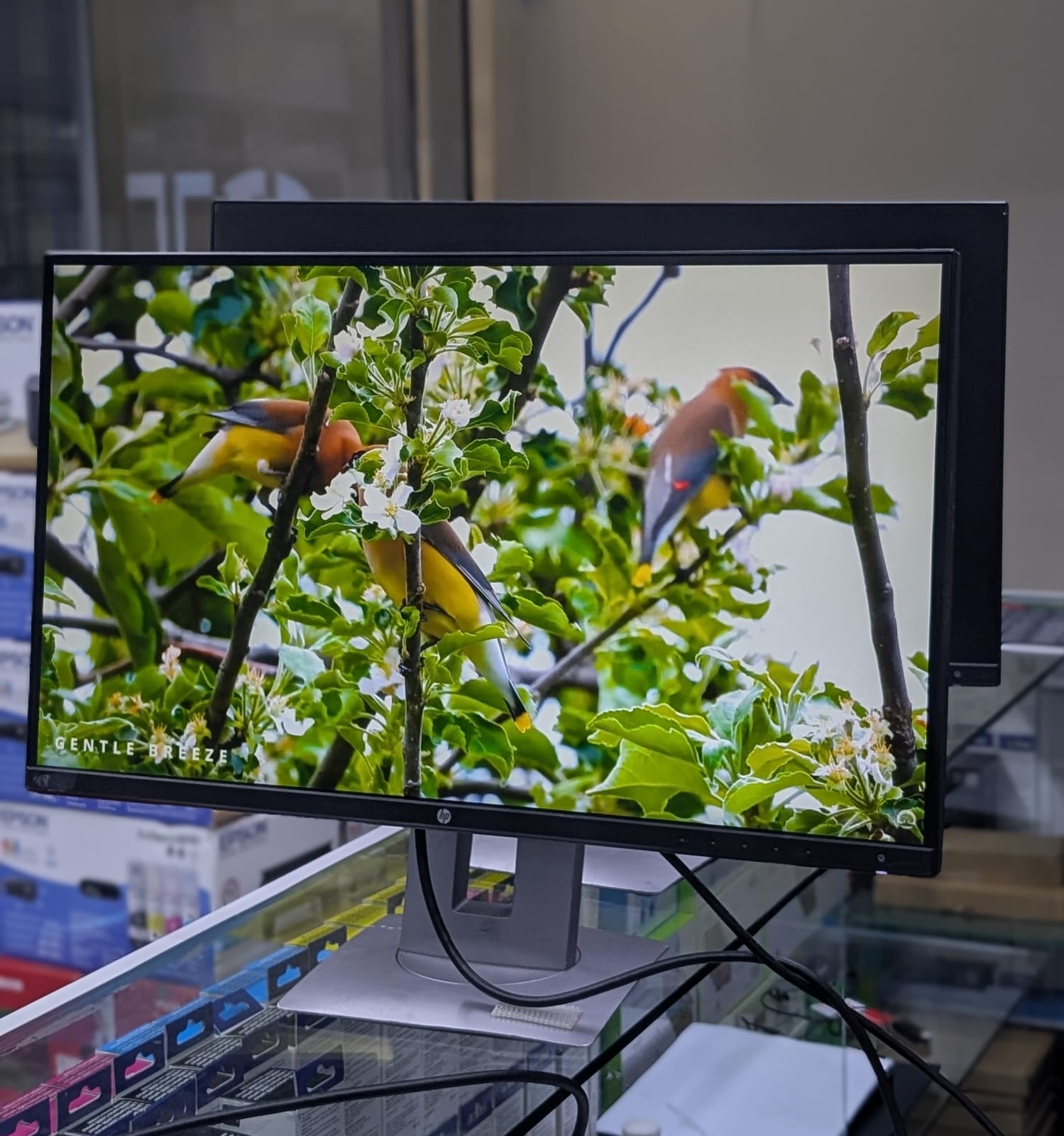 HP Z27n 27"INCH SCREEN MONITOR WITH 2560x1440 2K DISPLAY