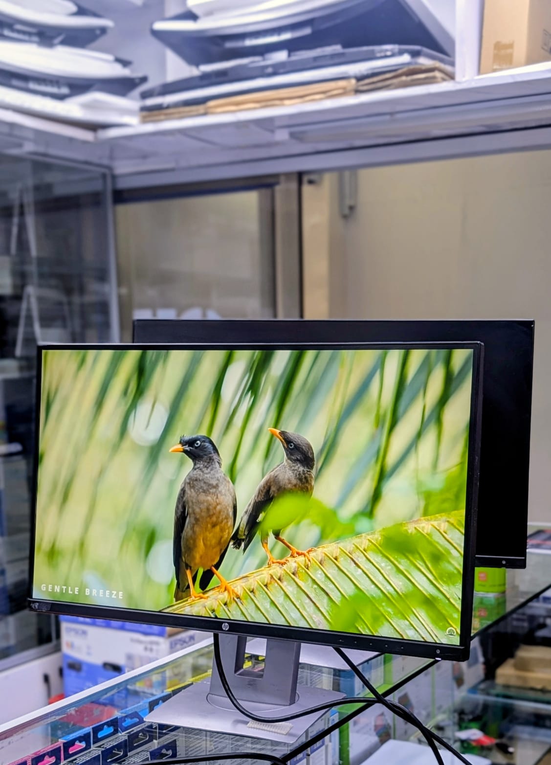 HP Z27n 27"INCH SCREEN MONITOR WITH 2560x1440 2K DISPLAY