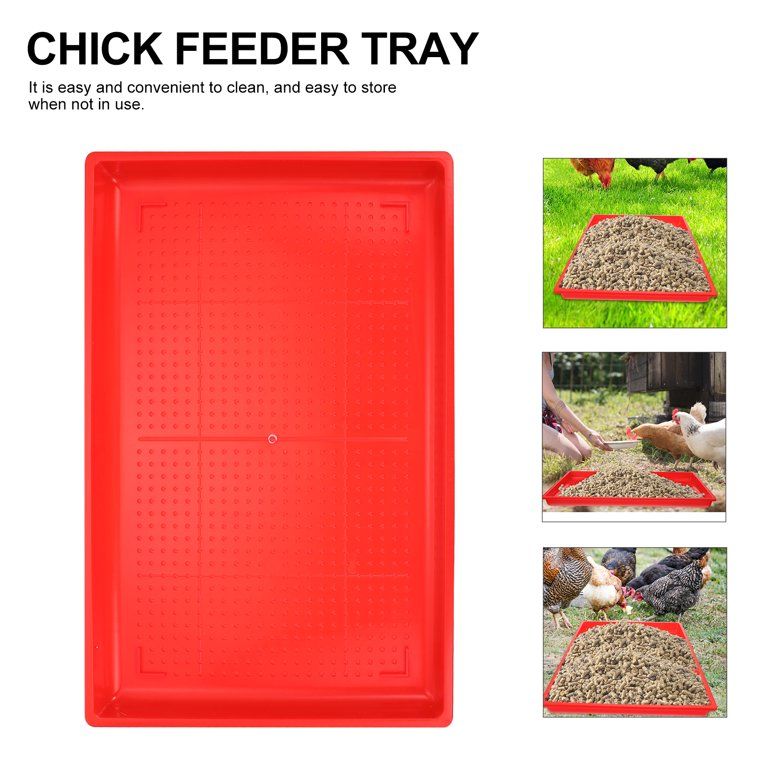 Rectangle Chick Feeding Trays. Feeding Plate for Poultry. Chicken Feeder Poultry Farming Equipment Chick Feeder