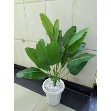 Luxury Artificial Bird of Paradise Plant with White Fluted Vase & Decorative Stones - 1.2m Realistic Faux Banana Tree for Home & Office Decor - Lifelike Large Potted Greenery - Traveler’s Palm Set  .