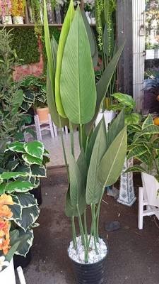 Luxury Artificial Bird of Paradise Plant with White Fluted Vase & Decorative Stones - 1.2m Realistic Faux Banana Tree for Home & Office Decor - Lifelike Large Potted Greenery - Traveler’s Palm Set  .