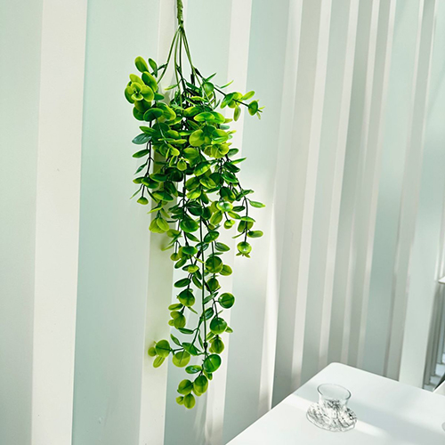 Faux Artificial Hanging Plants, Fake Potted Greenery with Eucalyptus   Vine,Mandala,Pea Pod Leaves &String of in Pots for Office,Living Room, Bathroom, Indoor & Outdoor Décor