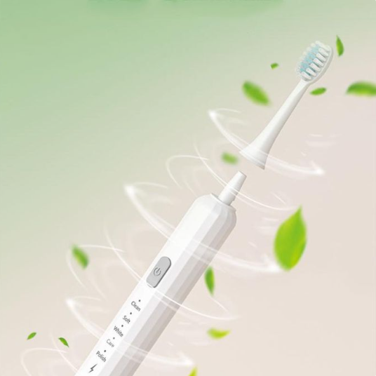 Follicular USB Rechargeable Electric Toothbrush Five-speed with 3 Brush Heads