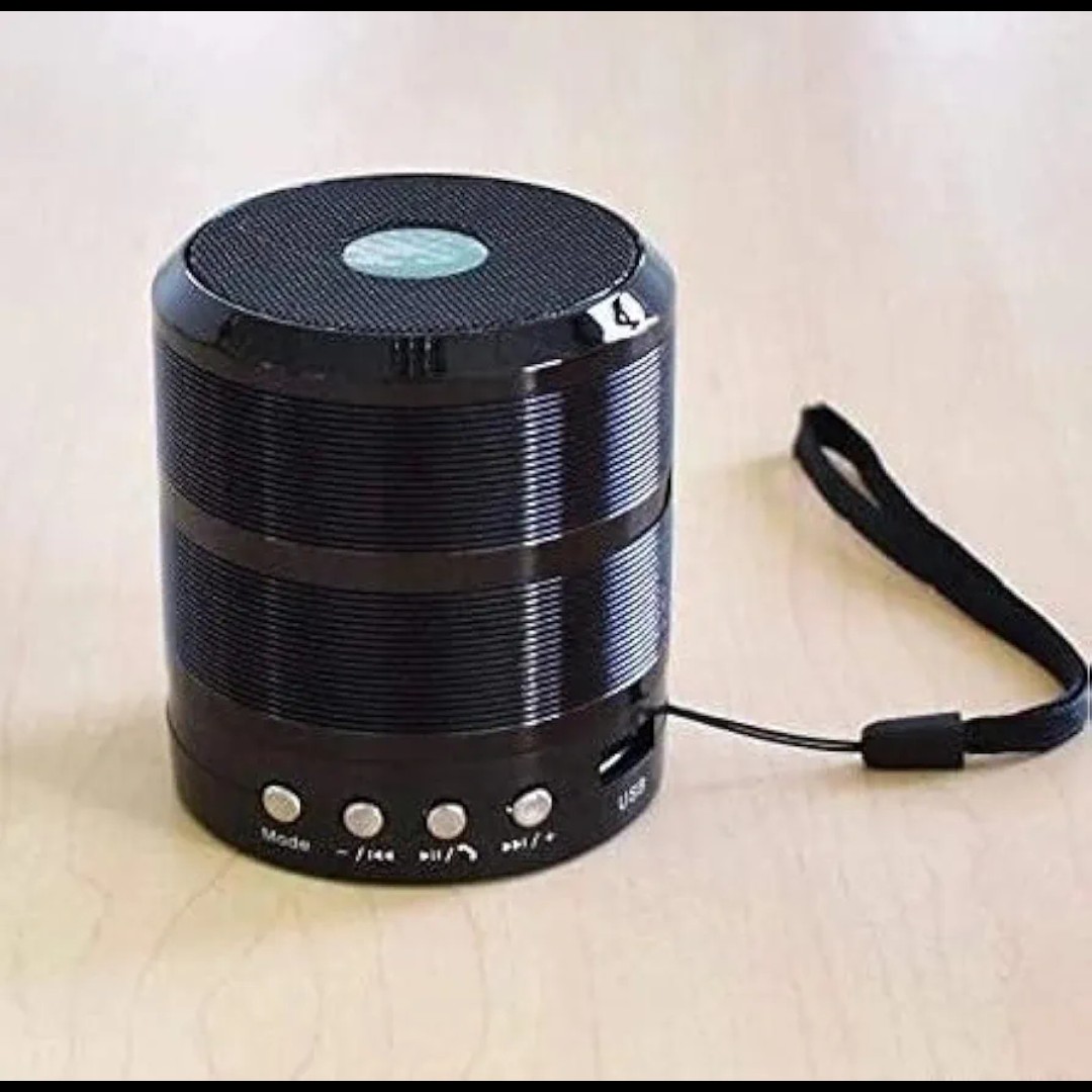 Metallic Mini Bluetooth Speaker - Wireless Portable Speaker with Rich Bass, Hands-Free Calling, FM Radio, SD/TF Card & USB Playback
