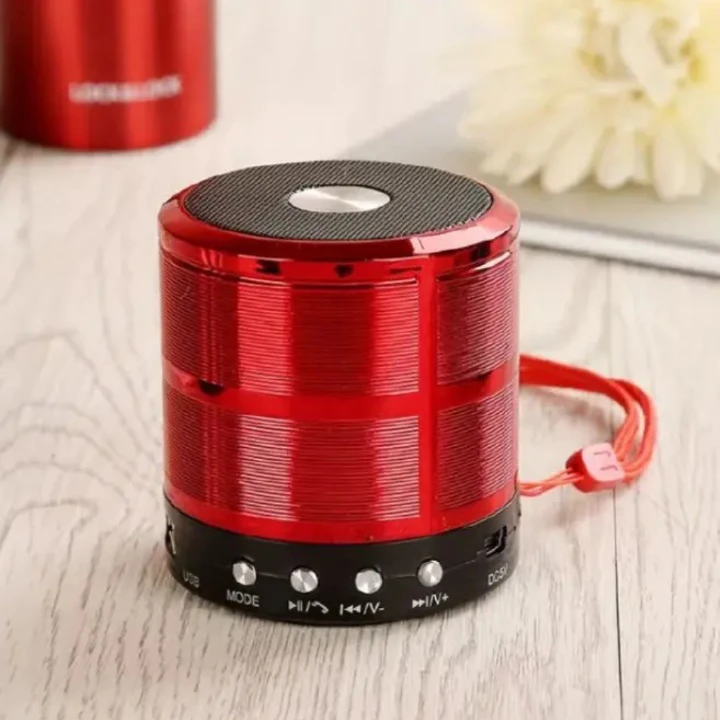 Metallic Mini Bluetooth Speaker - Wireless Portable Speaker with Rich Bass, Hands-Free Calling, FM Radio, SD/TF Card & USB Playback