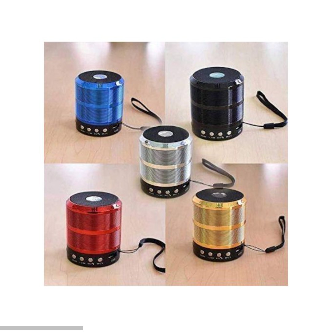 Metallic Mini Bluetooth Speaker - Wireless Portable Speaker with Rich Bass, Hands-Free Calling, FM Radio, SD/TF Card & USB Playback