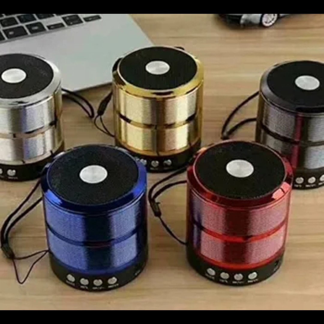 Metallic Mini Bluetooth Speaker - Wireless Portable Speaker with Rich Bass, Hands-Free Calling, FM Radio, SD/TF Card & USB Playback