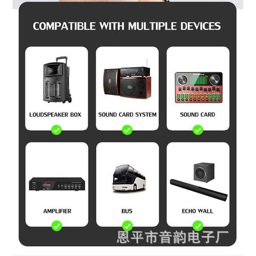 Professional Wireless Microphone VHF 2 Channel Mic