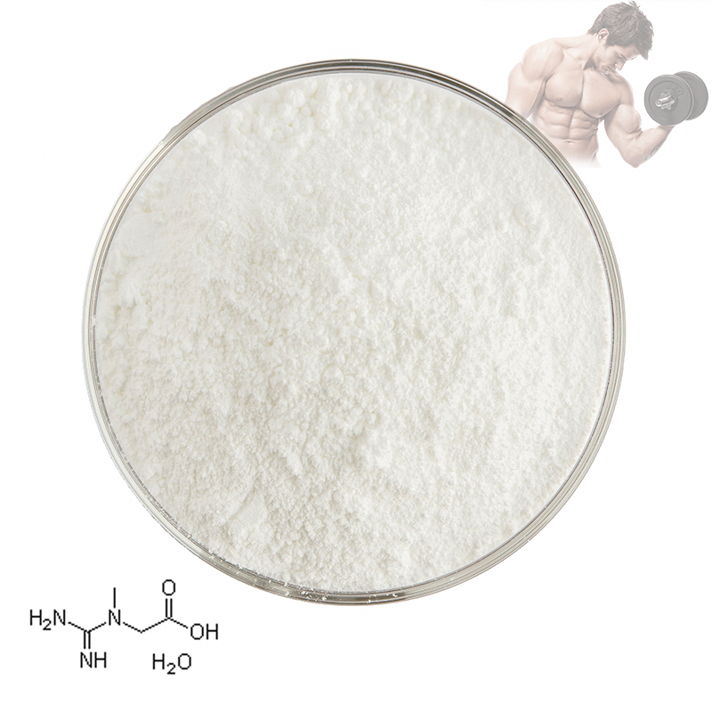 Factory supplies high-quality creatine monohydrate powder (99% creatine powder) 500g
