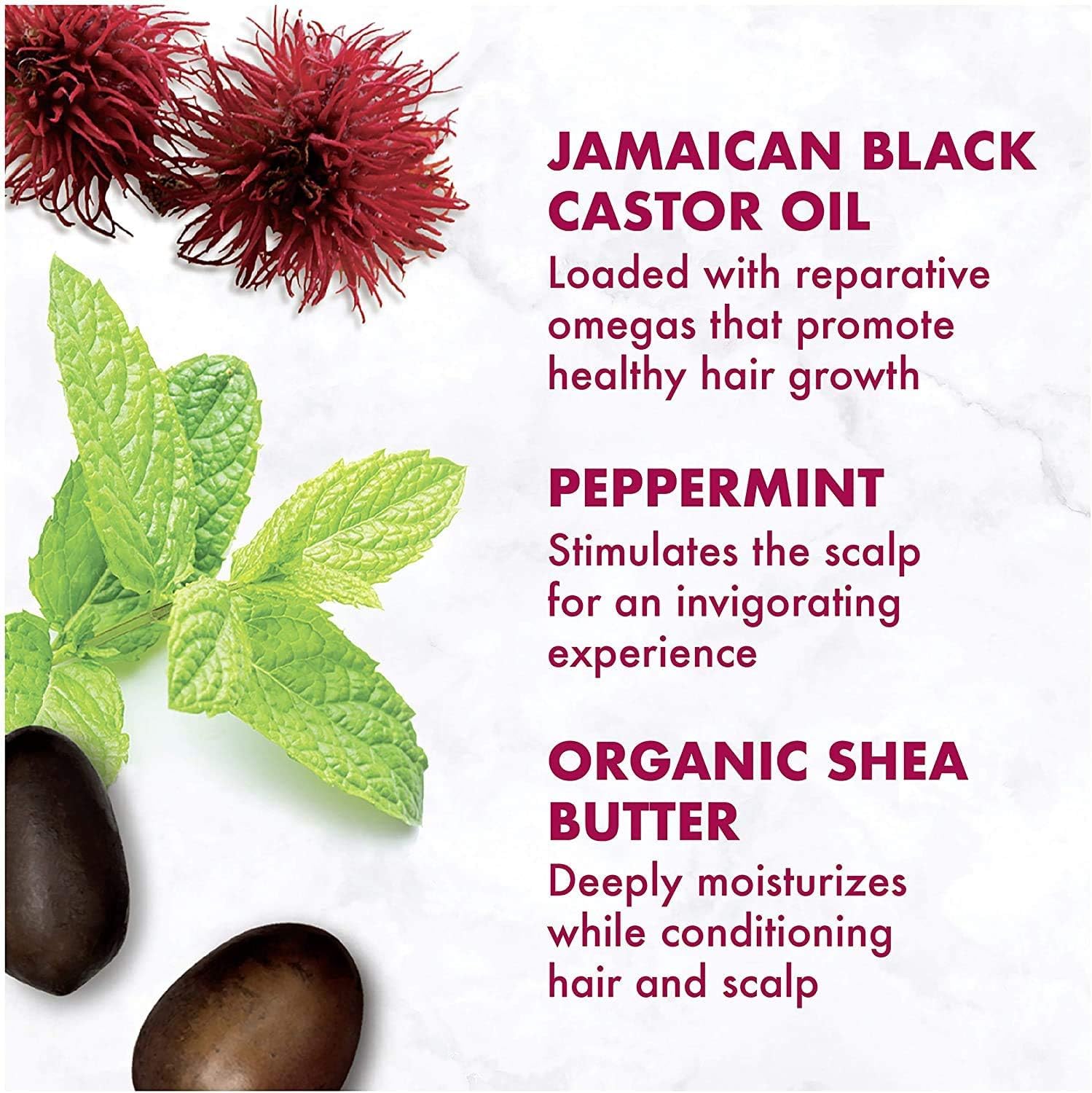 Shea Moisture Jamaican Black Castor Oil Conditioner - 384ml - For Kinky, Curly Hair - With Peppermint & Shea Butter
