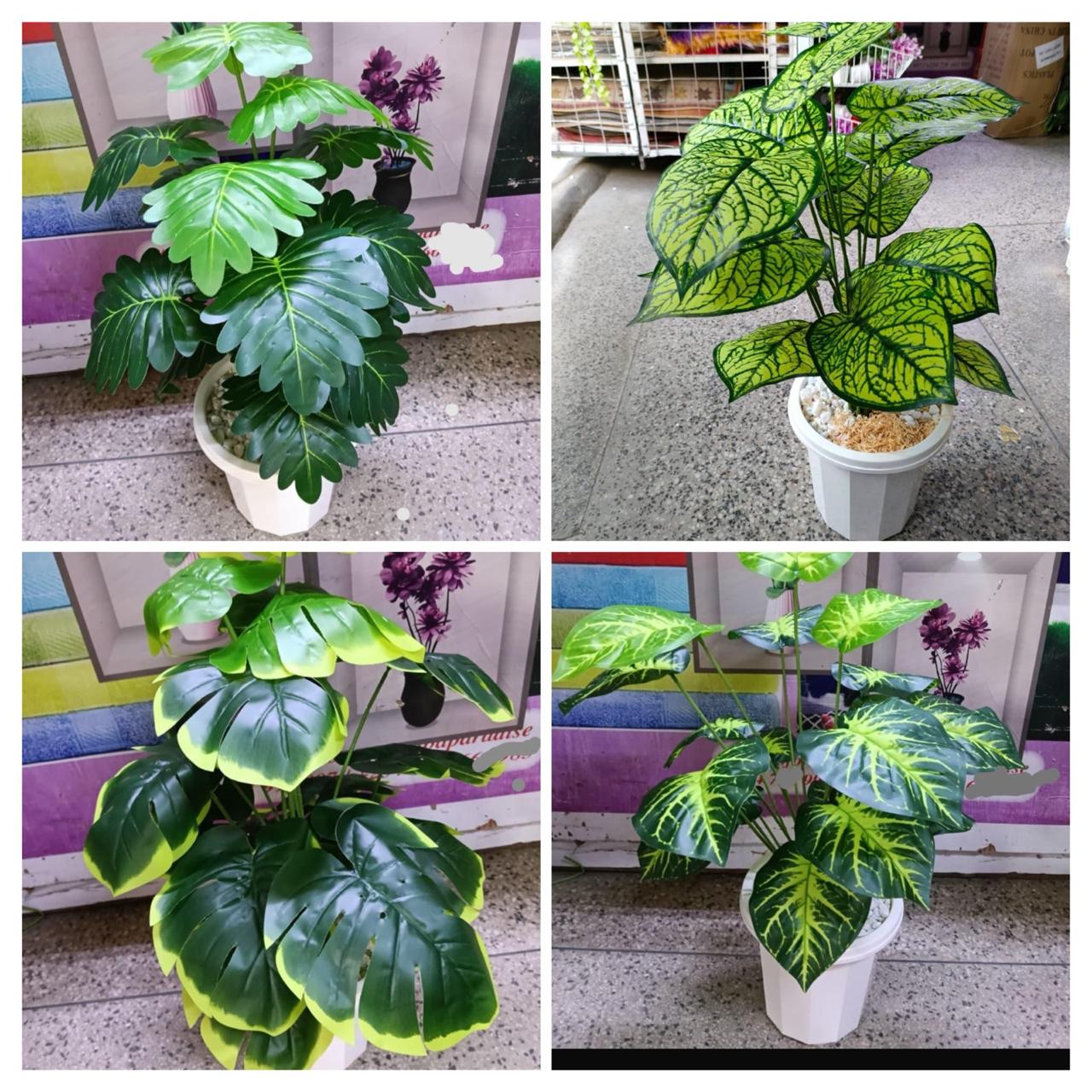 Lifelike 70cm Artificial Monstera & Caladium Potted Plants - Realistic 18-Leaf Indoor Faux Greenery with White Vase & Pebble Stones for Home Office Decor .