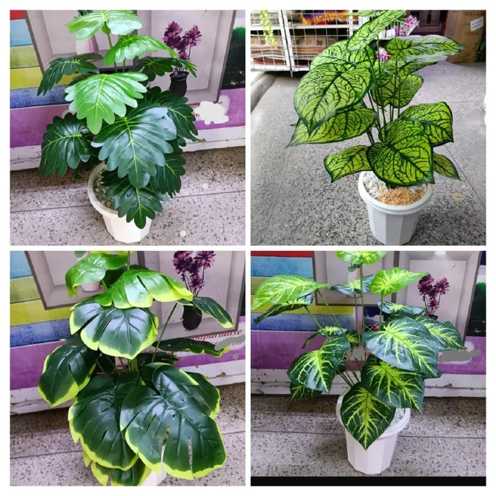 Lifelike 70cm Artificial Monstera & Caladium Potted Plants - Realistic 18-Leaf Indoor Faux Greenery with White Vase & Pebble Stones for Home Office Decor .
