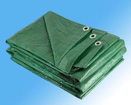 🌱✔️✔️Heavy-Duty Waterproof Tarpaulin Canvas-Rainproof Outdoor Tent & Canopy Cover with Eyelets 4x6M.Tough, Reliable ,Ready to shelter Anything!
 Protect your gear, cover your outdoor spaces, or build