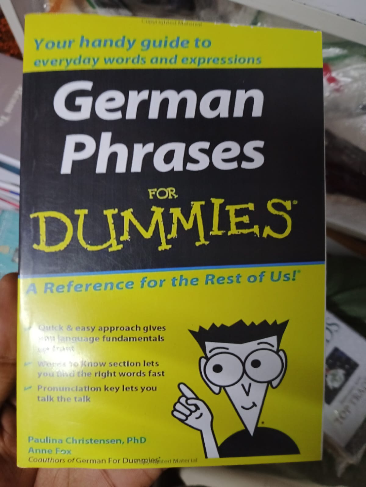 German Phrases For Dummies