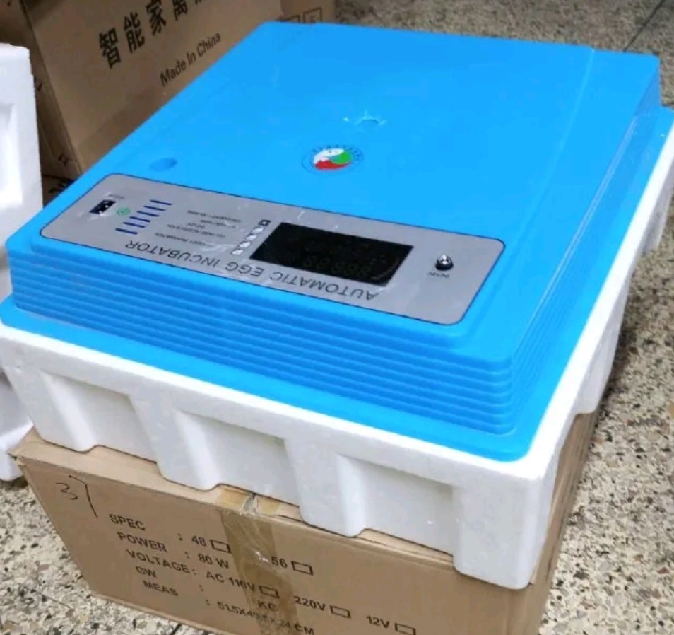 56 Egg Incubator Full Automatic AC/DC