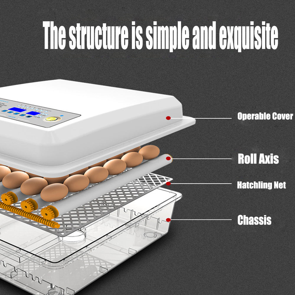 56 Egg Incubator Full Automatic AC/DC