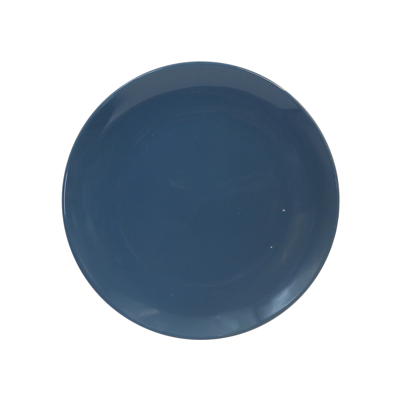 Sundabests 6 PCS 10.25 INCH PLATE Classique Dinner Dish Plates Ceramics Plates