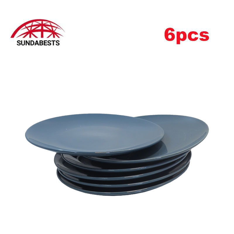 Sundabests 6 PCS 10.25 INCH PLATE Classique Dinner Dish Plates Ceramics Plates