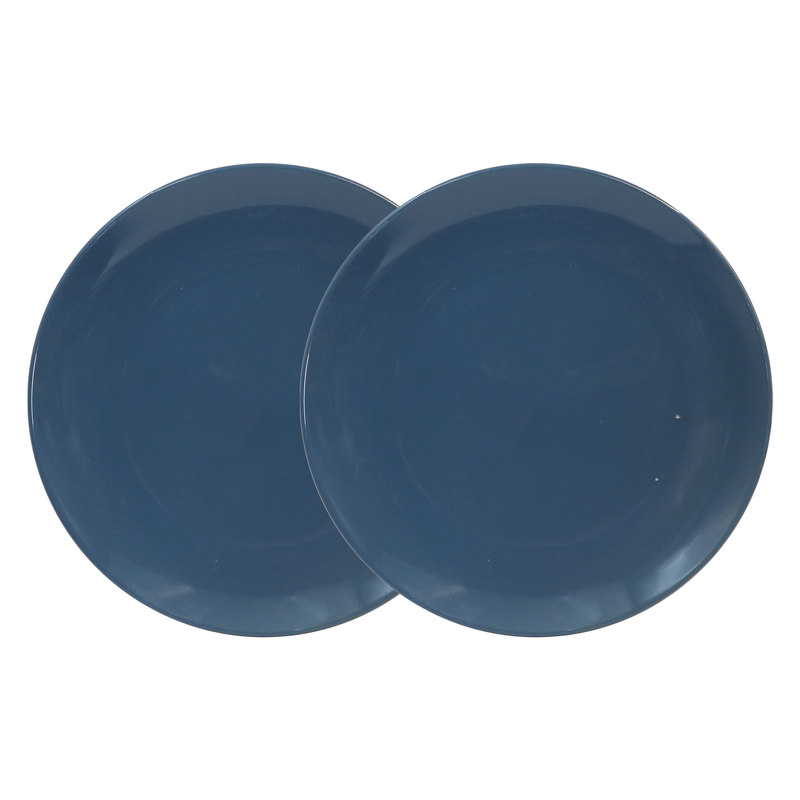 Sundabests 6 PCS 10.25 INCH PLATE Classique Dinner Dish Plates Ceramics Plates