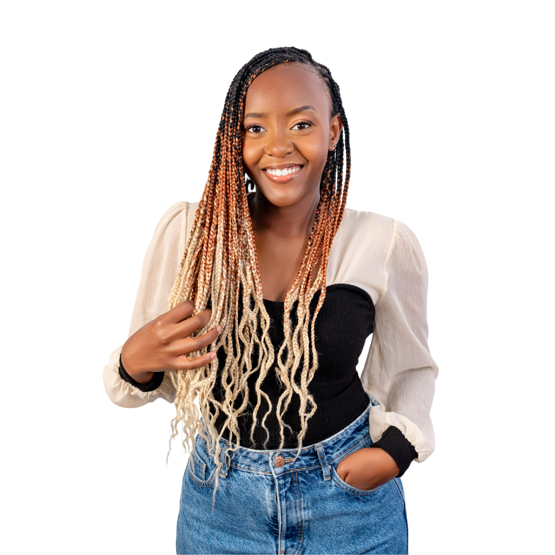 2 packs C15 Ombre Braid Ombre Braiding Hair Vanilla Ombre Braid for Box Braids Cornrows Knotless Braids and Twists Hairstyles Three-Toned Ombre Braid with Colors Black Golden Brown and Blonde