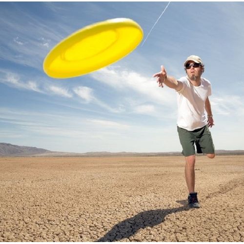 10" Sports Flying Disc Frisbee – Multicolor Indoor & Outdoor Throw Disc Toy for Kids & Adults Beach Park Game Fun