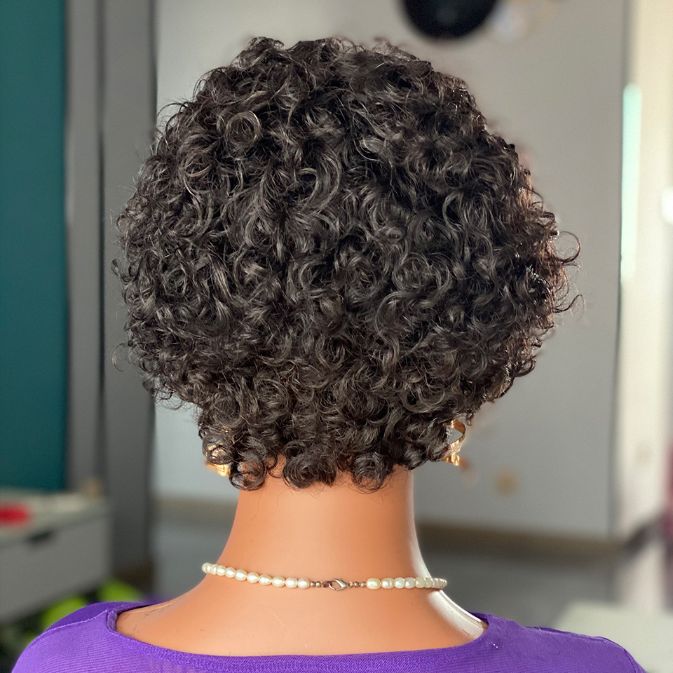 Curly pixie cut lace wig human hair