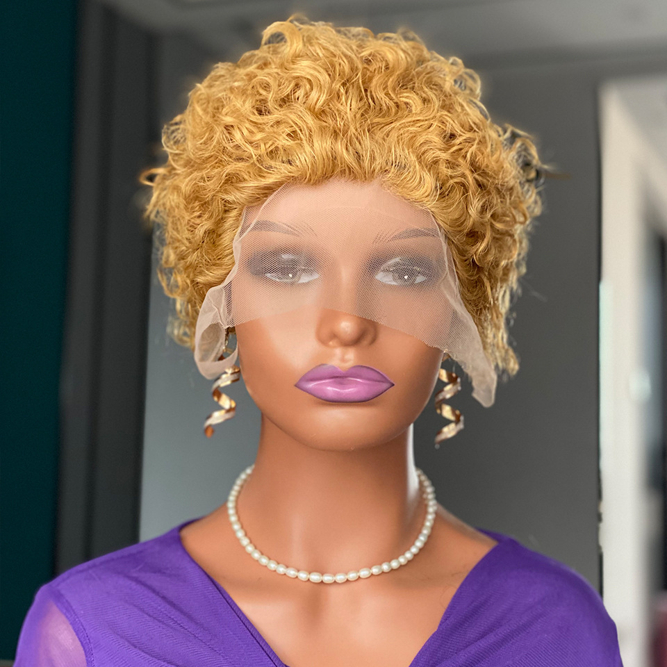 Highlight Brown Curly Pixie Cut Lace Wig Human Hair Promotion