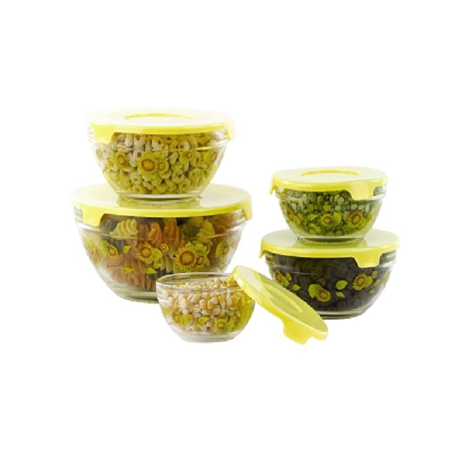 Set of 5 Fridge Storage Glass Bowls