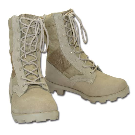 Men&apos;s dessert boots