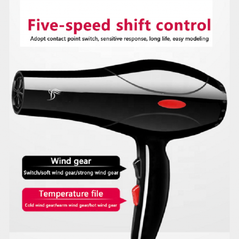 Hair Blow Dryer Hair Dryer Hair Care Oil+7 Gifts